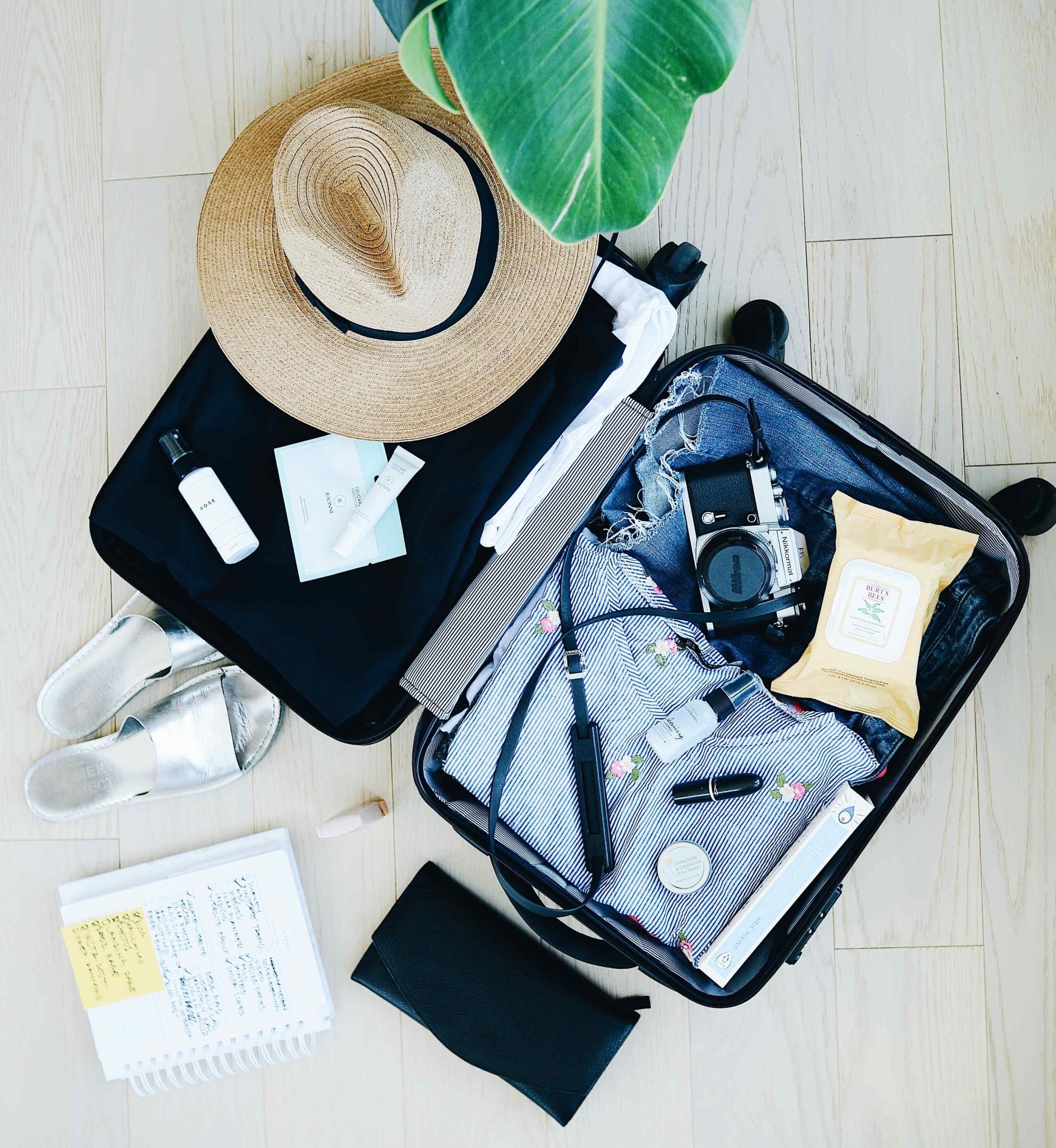 road trip basketball backpack