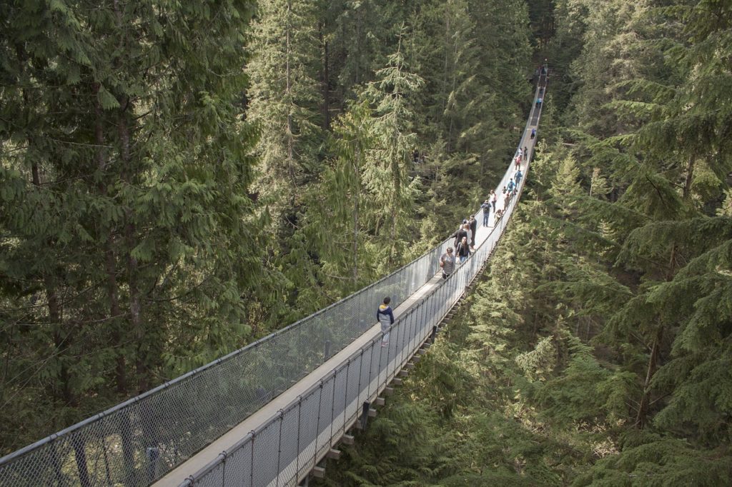 visiting the capilano suspension bridge during 2 days in Vancouver