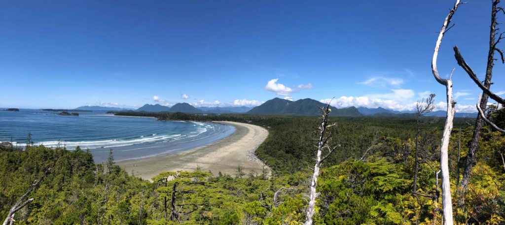 Hiking up to the Cox Bay Lookout is one of the best things to do in Tofino