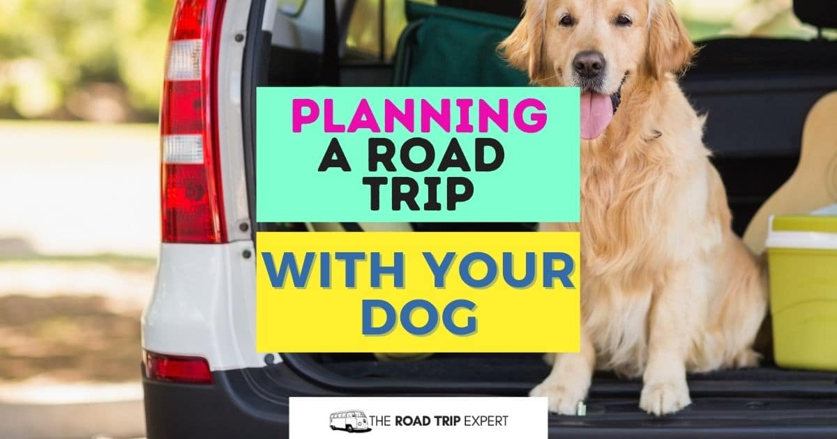Planning A Road Trip With Your Dog The Ultimate Guide