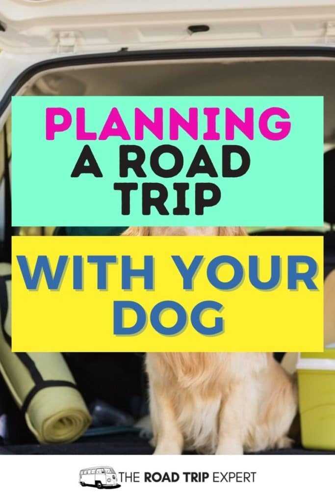 road trip with dog pinterest pin
