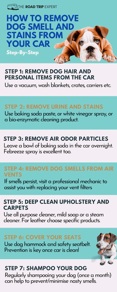 Remove dog smell and stains step by step guide