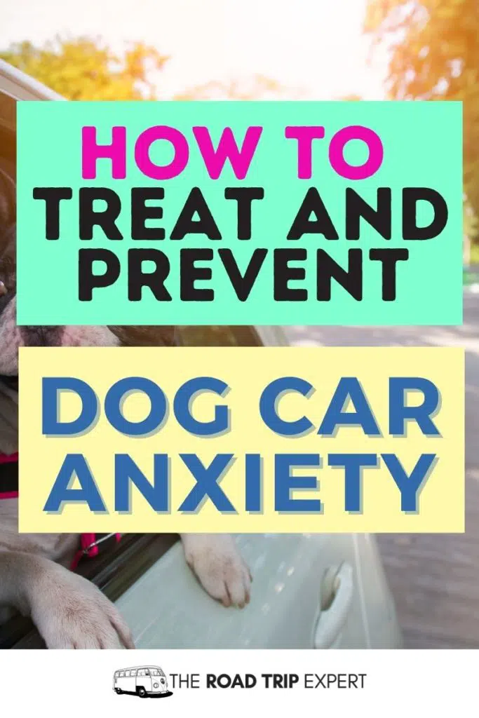 dog car anxiety pinterest pin