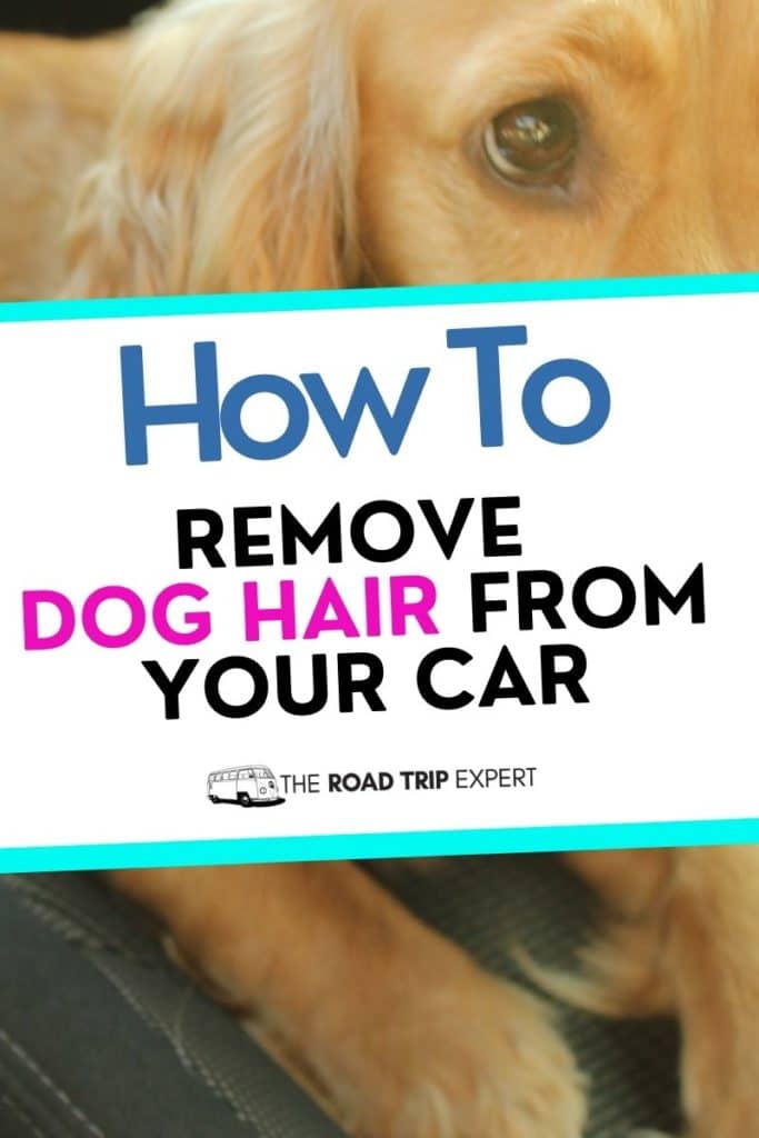 remove dog hair from your car pinterest pin