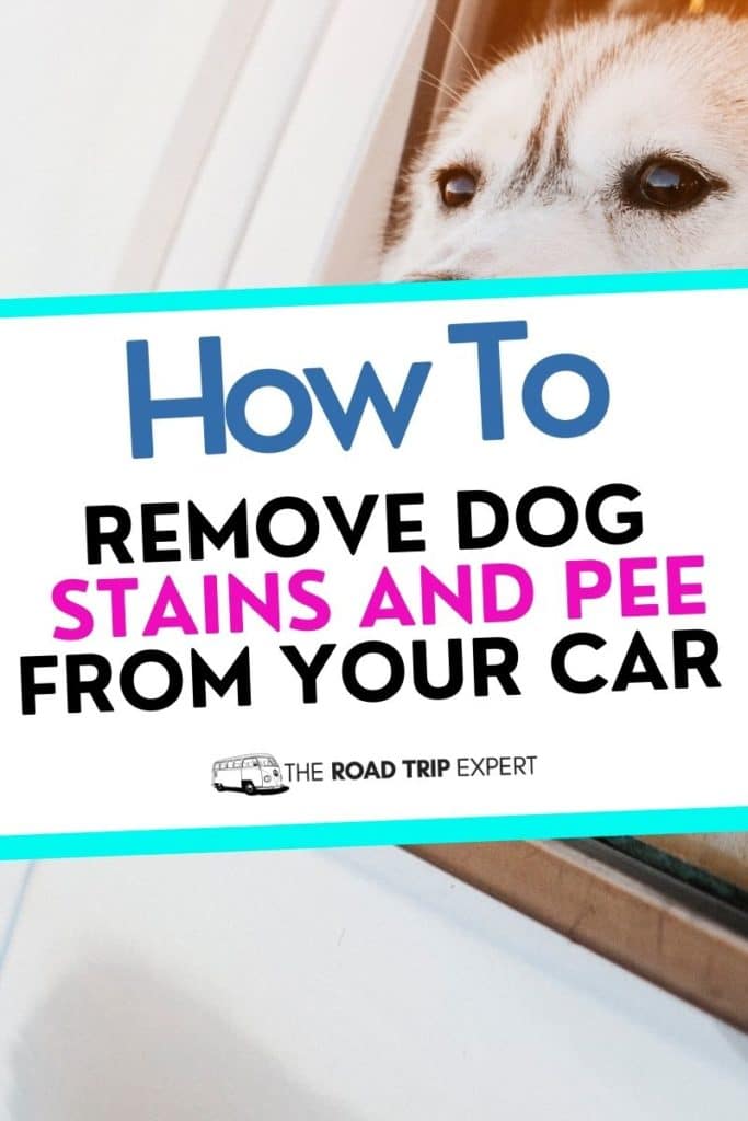 remove dog smell from your car your car pinterest pin