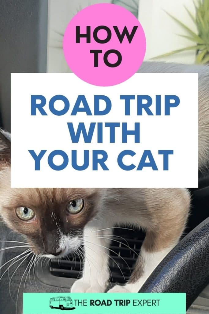 road trip with cat pinterest pin
