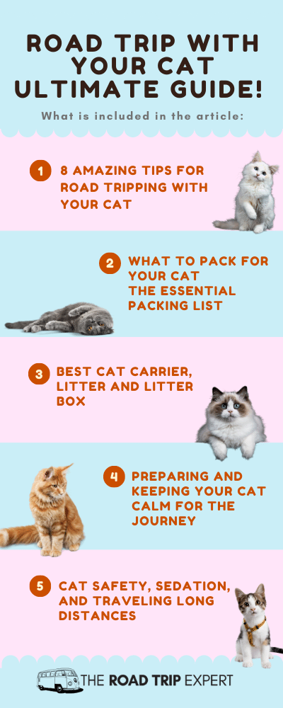 road trip with cat infographic
