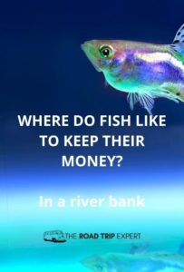 68 Road Trip Jokes For Car Rides With Your Family (Hilariously Funny)