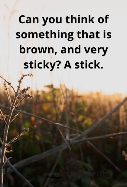travel pun about sticks