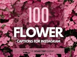 Flower Captions for Instagram featured image