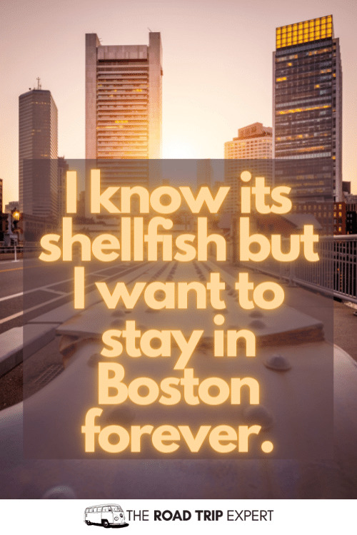 captions for boston