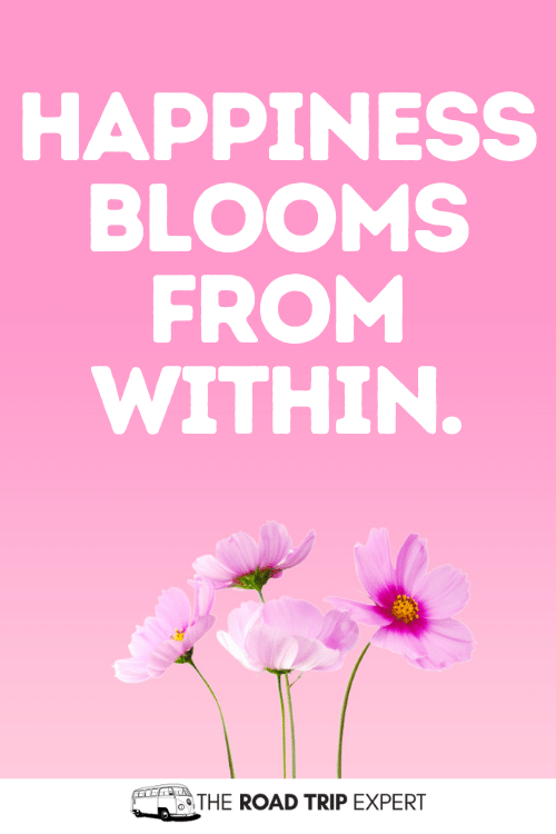 happiness instagram flower quotes
