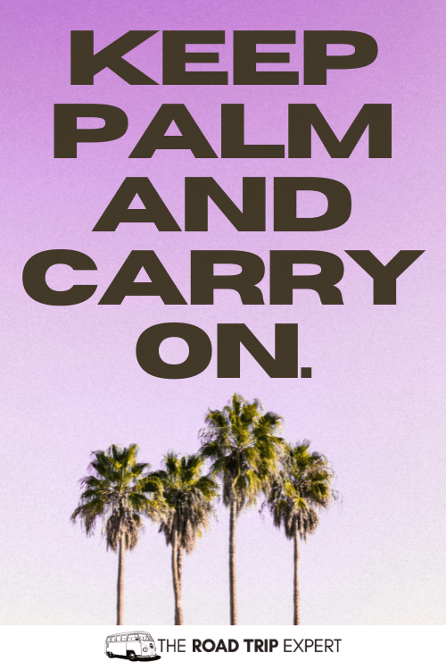 palm tree captions
