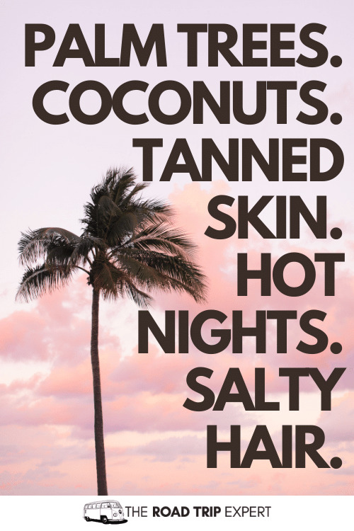 100 Brilliant Palm Tree Captions and Quotes for Instagram