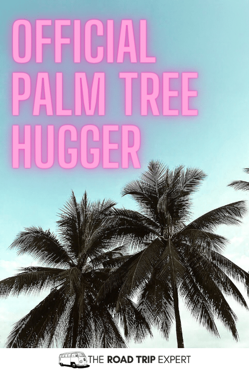 palm tree puns 