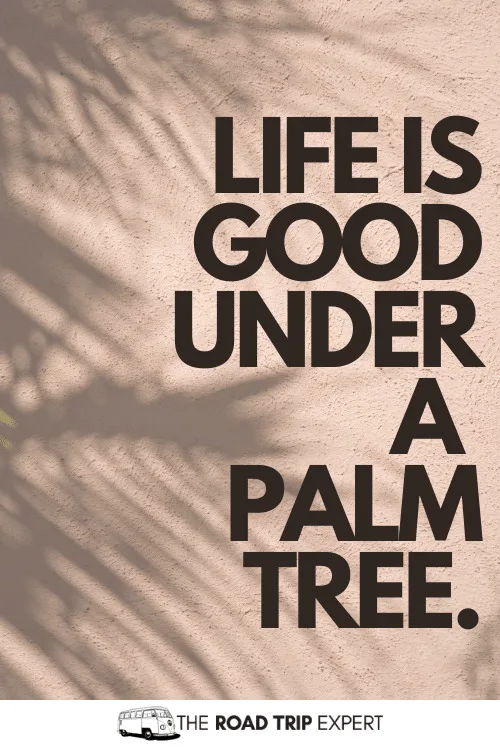 palm tree quotes