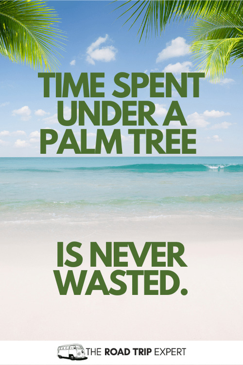 palm trees quotes
