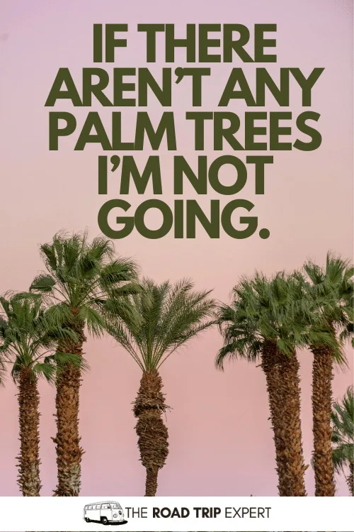 quotes about palm trees