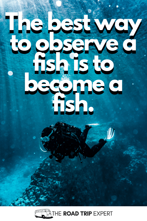 scuba diving instagram quotes