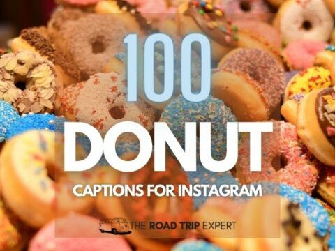 100 Brilliant Donut Captions for Instagram