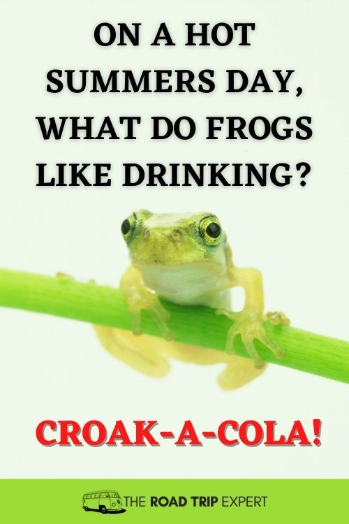 road trip joke about frogs