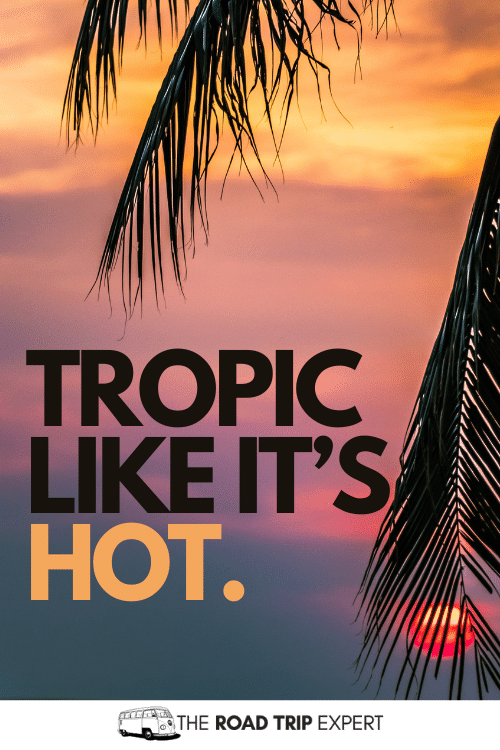 tropical captions