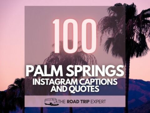 100 Hot Palm Springs Captions for Instagram