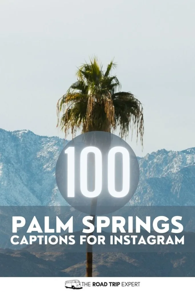 Palm Springs Captions for Instagram pinterest pin