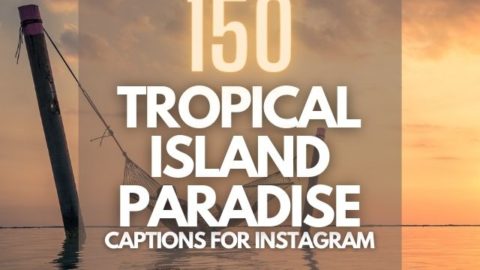 Tropical Island Paradise Captions for Instagram featured image