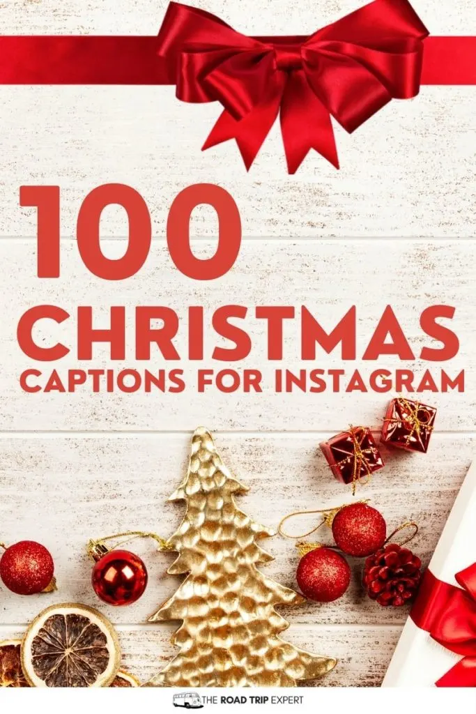 funny Christmas captions for Instagram pinterest pin