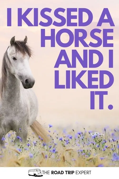 horse riding captions for instagram