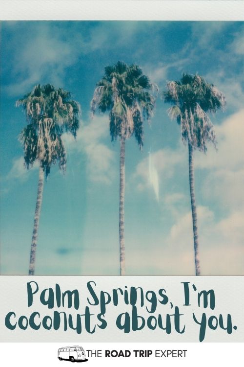 palm springs pun
