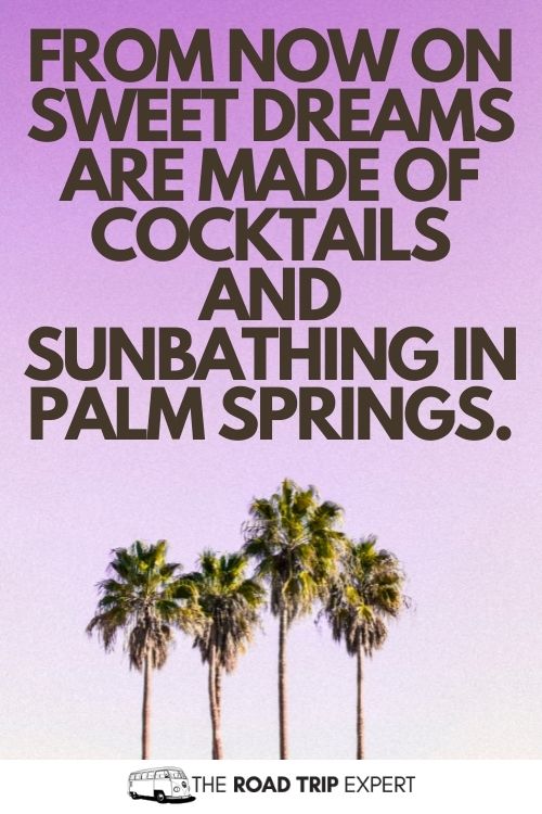 palm springs puns