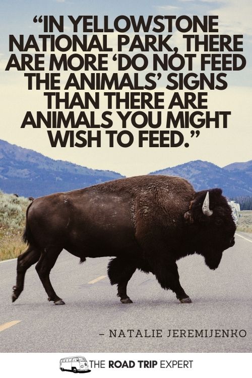Yellowstone quotes