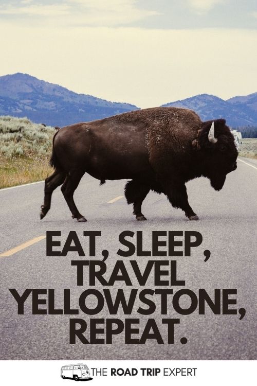 Yellowstone National Park Instagram captions