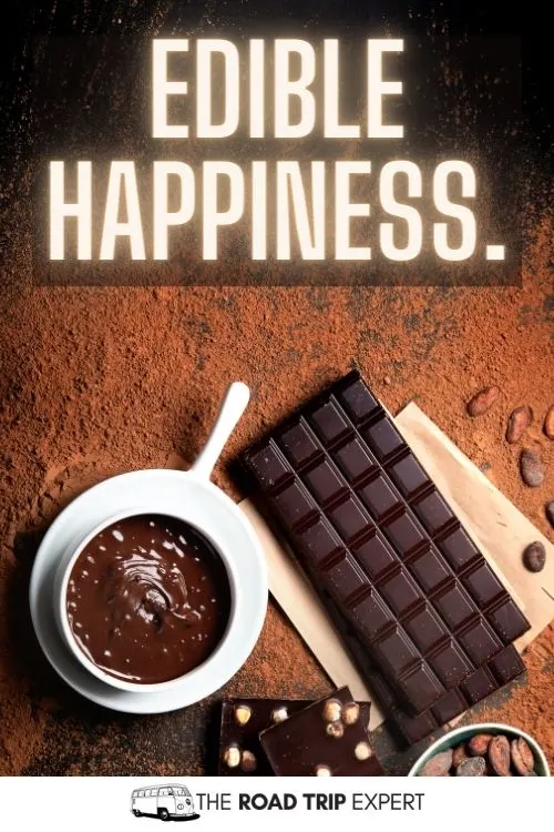 44 Delightful Chocolate Quotes A Parents Sweet Indulgence  LoveToKnow