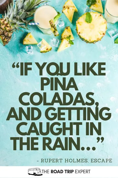 Cocktail Quotes for Instagram