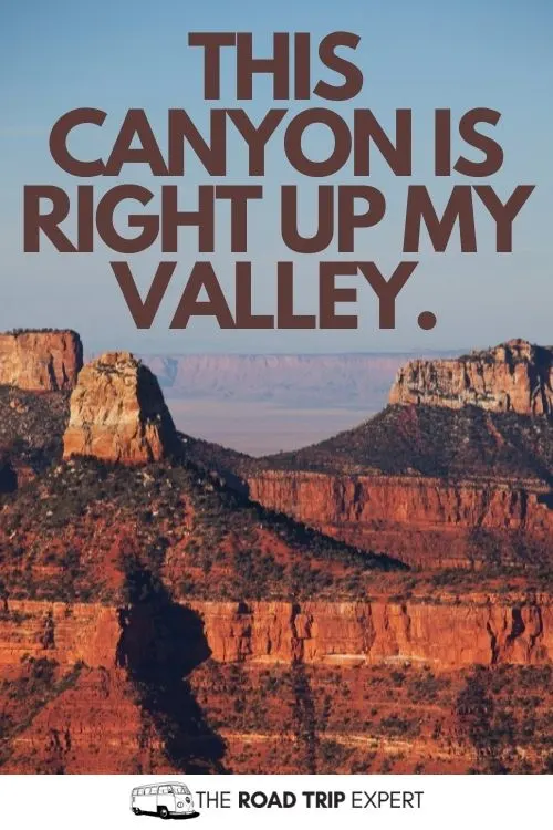 Grand Canyon pun