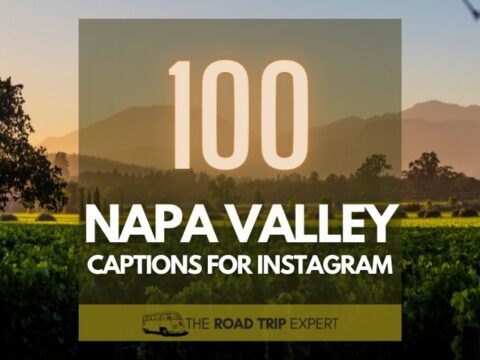 100 Beautiful Napa Valley Captions for Instagram
