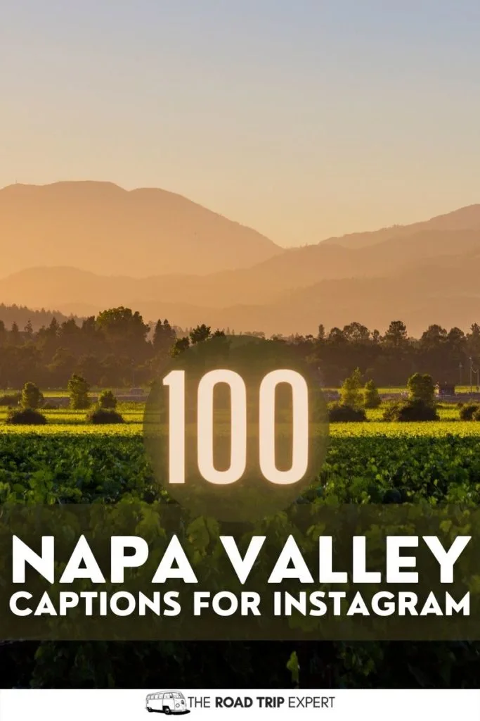 Napa Valley Captions for Instagram pinterest pin
