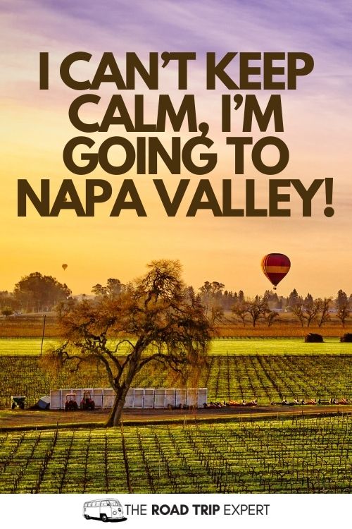Napa Valley Captions for Instagram