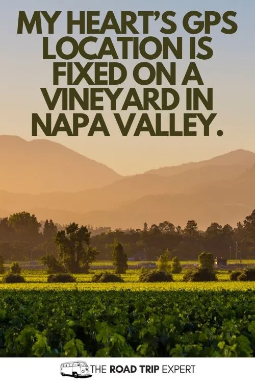 Napa Valley Instagram Captions