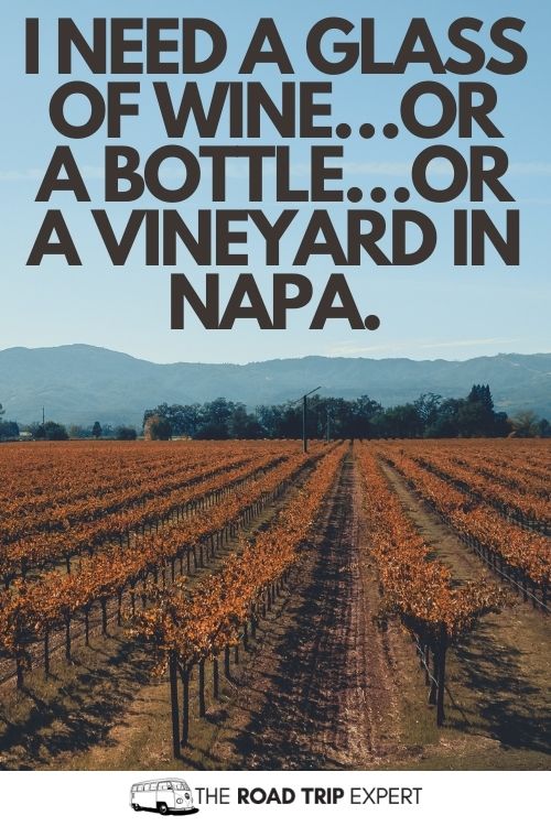 Napa Valley Puns for Instagram