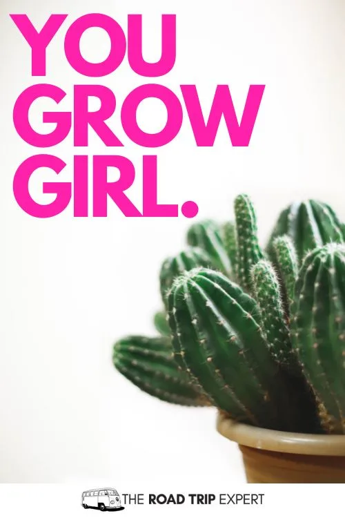 100 Awesome Plant Captions for Instagram (With Funny Puns!)