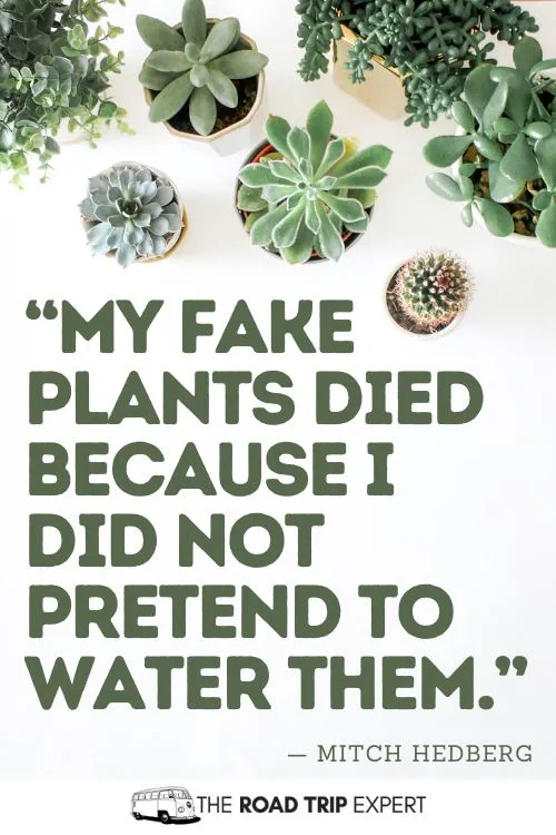 Plants Quotes for Instagram