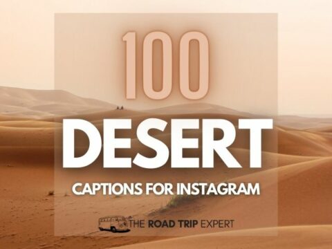 100 Amazing Desert Captions for Instagram