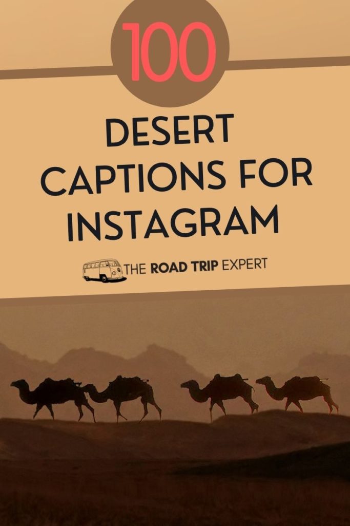 100 Amazing Desert Captions for Instagram (With Puns!)