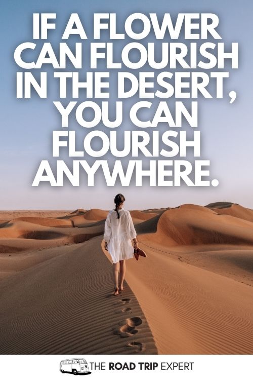 Desert pun