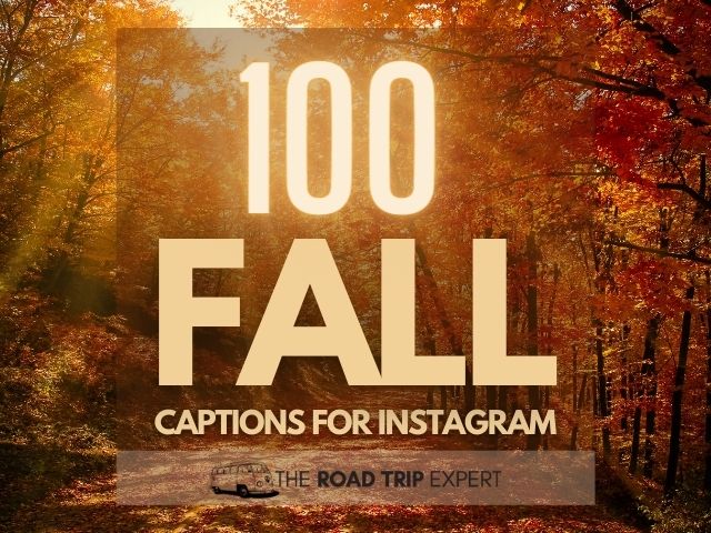 100 Beautiful Fall Instagram Captions and Quotes for Insta