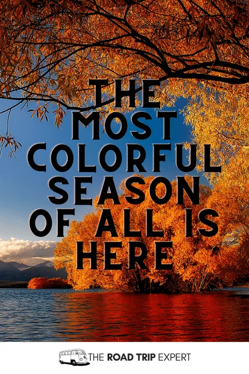 Fall Instagram Quotes